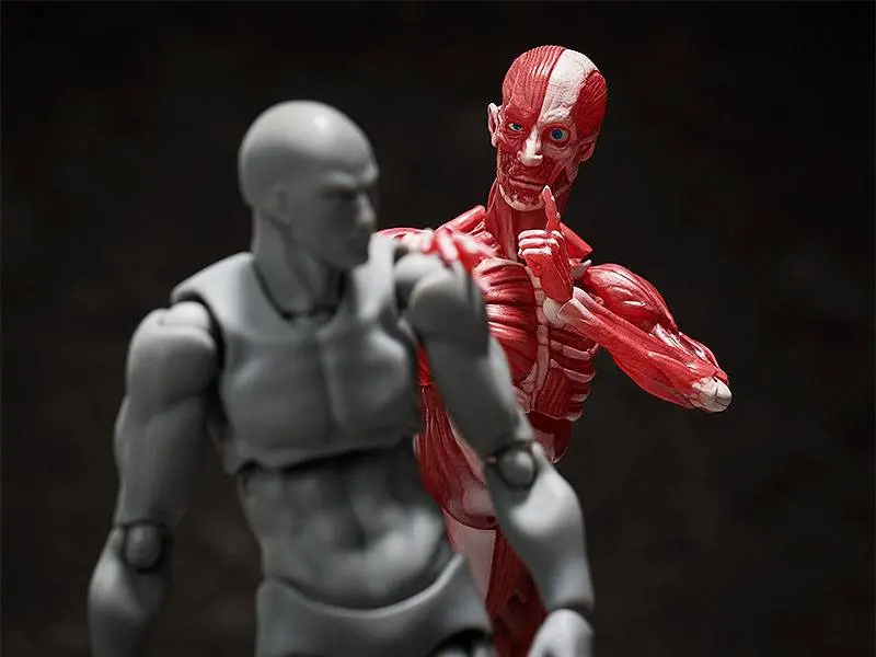 Original Character Figma Action Figure Human Anatomical Model 15 cm product photo