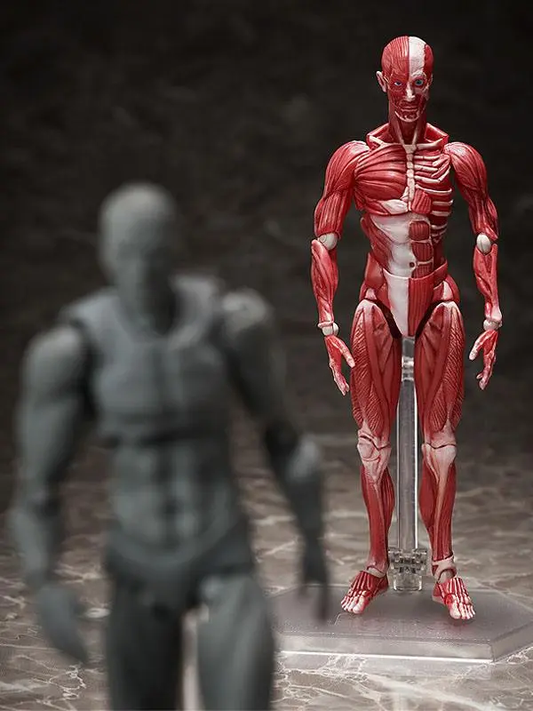 Original Character Figma Action Figure Human Anatomical Model 15 cm product photo