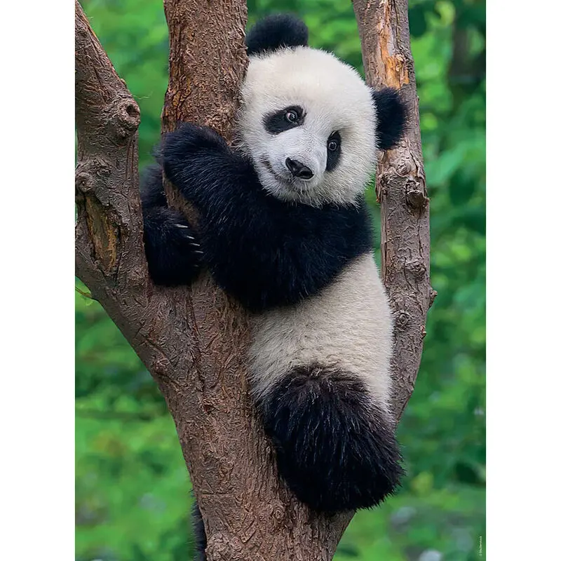 Panda e Koala puzzle 2x500pcs product photo