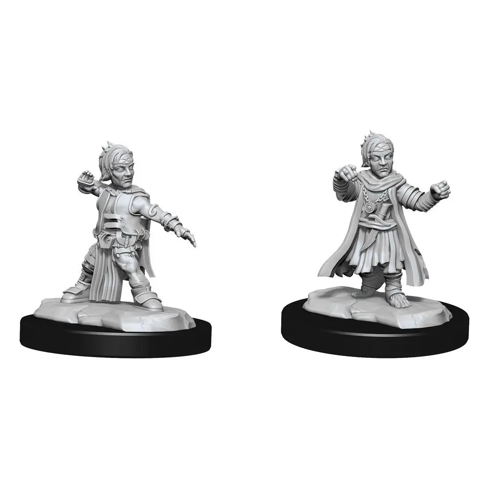 Pathfinder Battles Deep Cuts Unpainted Miniatures Halfing Monk Male Case (2) product photo