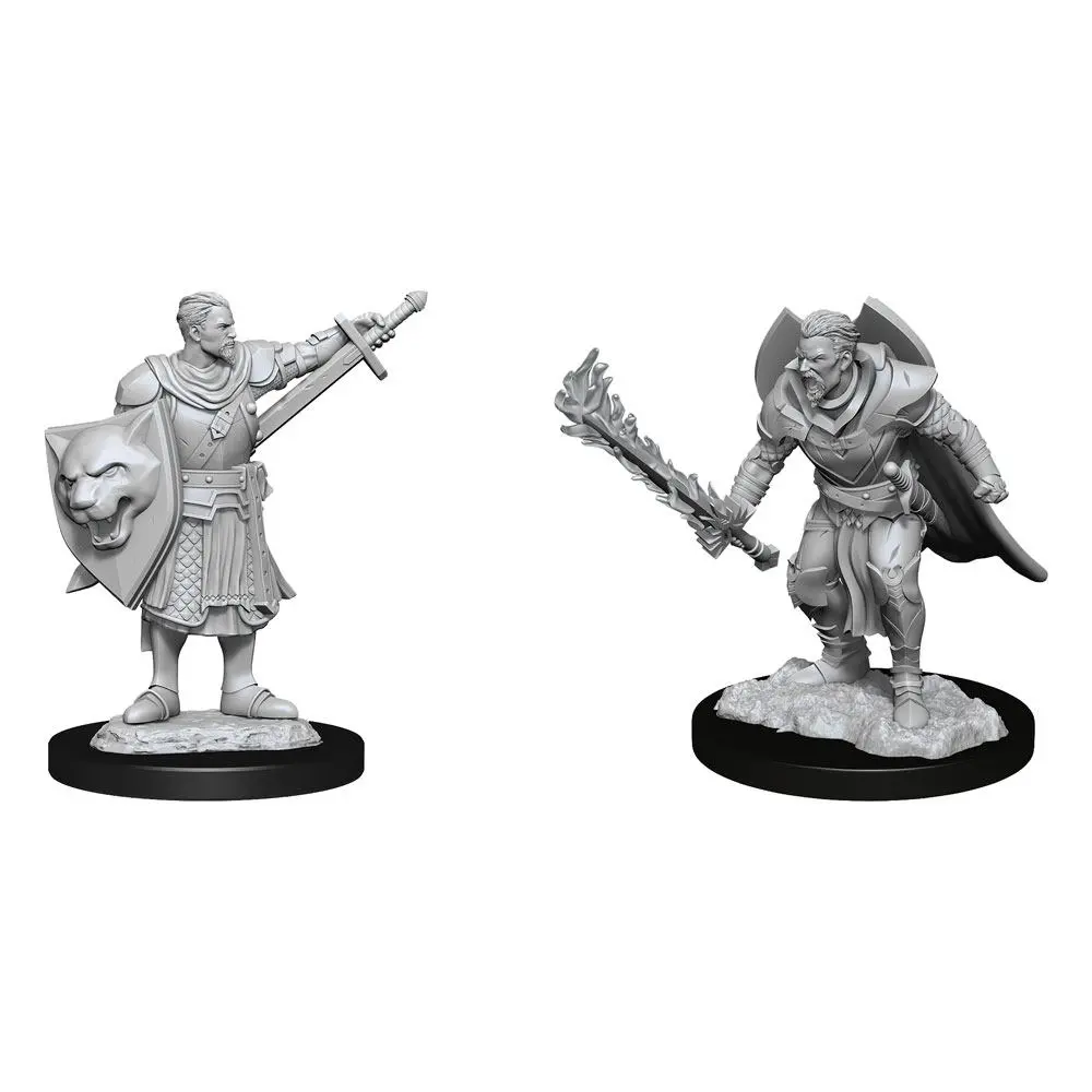 Pathfinder Battles Deep Cuts Unpainted Miniatures Human Champion Male Case (6) product photo