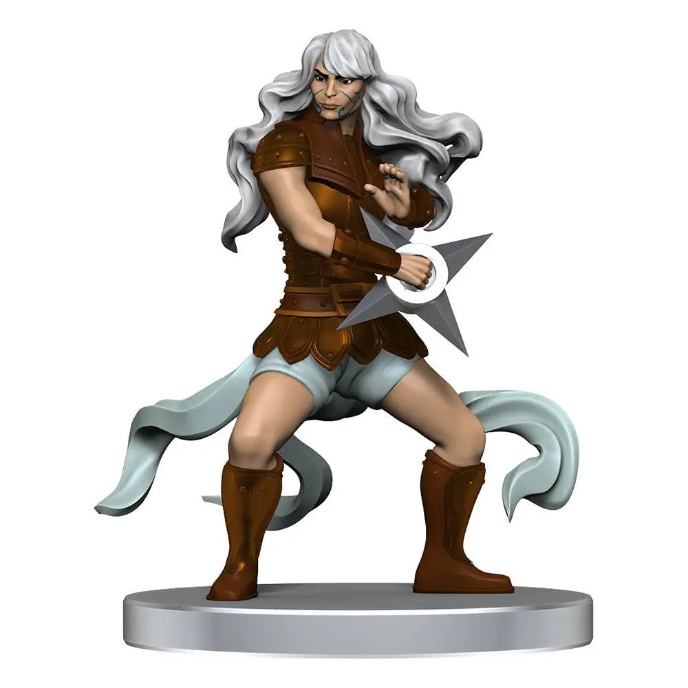 Pathfinder Battles pre-painted Miniatures 8-Pack Impossible Lands - Heroes and Villains Boxed Set product photo