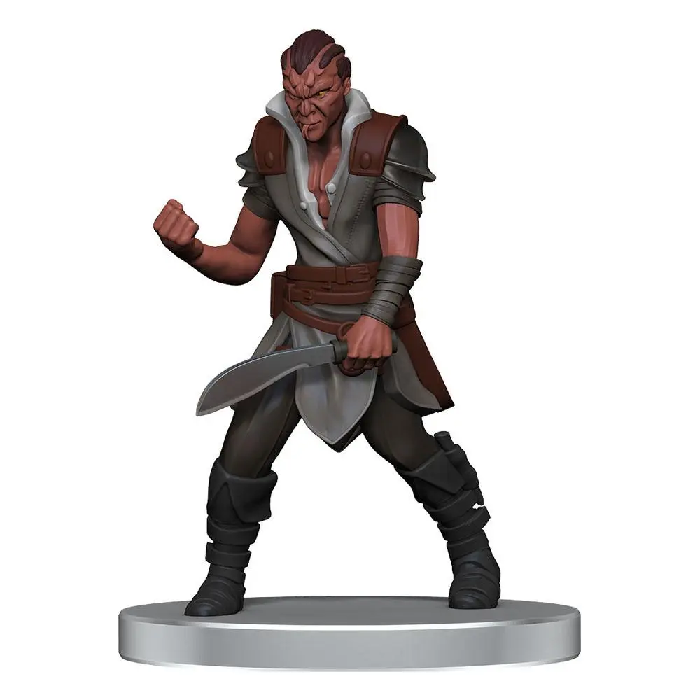 Pathfinder Battles pre-painted Miniatures 8-Pack Impossible Lands - Heroes and Villains Boxed Set product photo