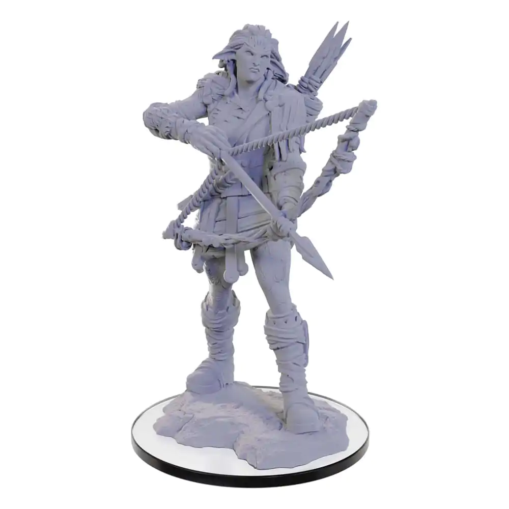 Pathfinder Deep Cuts Unpainted Miniature Wood Giant product photo
