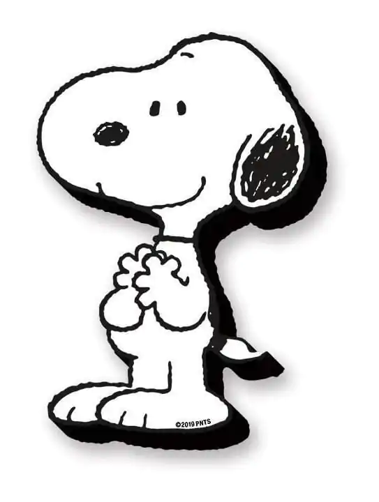 Peanuts: Snoopy Funky Chunky Magnet termékfotó