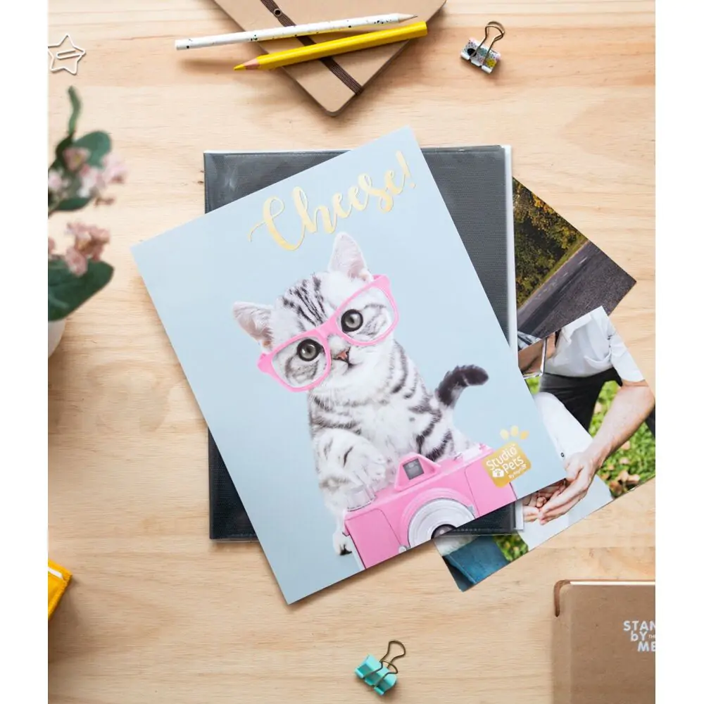 Pets Cat Tabby Photo album product photo