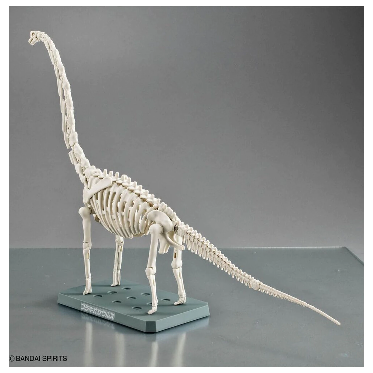 Model Kit Plannosaurus Brachiosaurus product photo