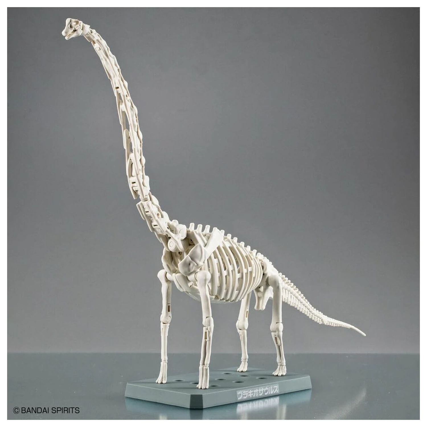 Model Kit Plannosaurus Brachiosaurus product photo