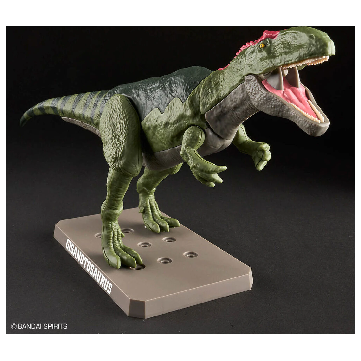 Model Kit Plannosaurus Giganotosaurus product photo