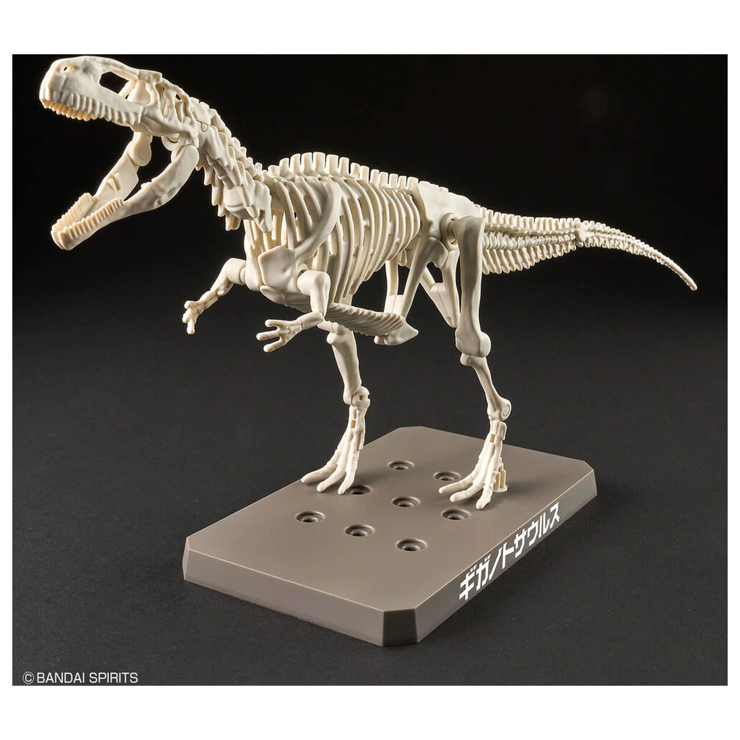 Model Kit Plannosaurus Giganotosaurus product photo