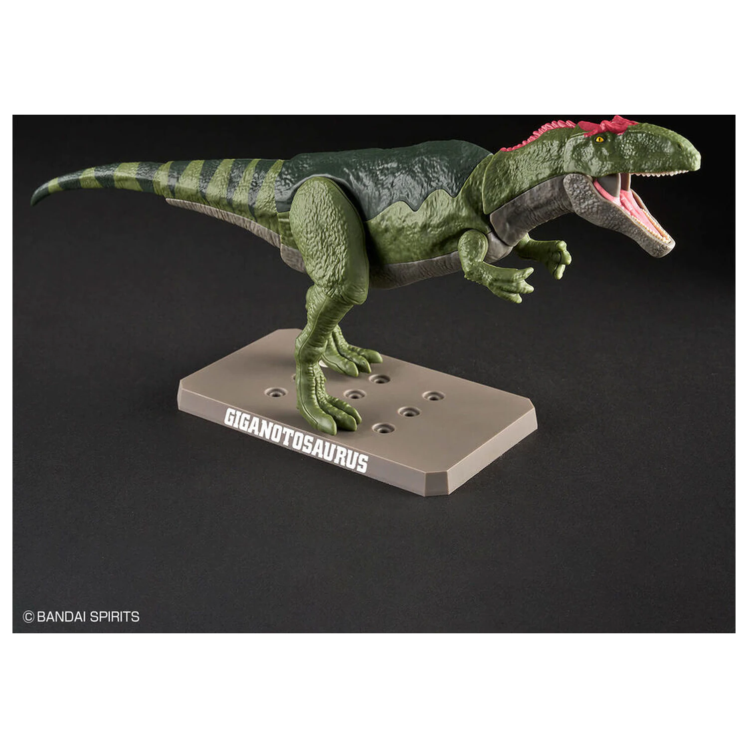 Model Kit Plannosaurus Giganotosaurus product photo