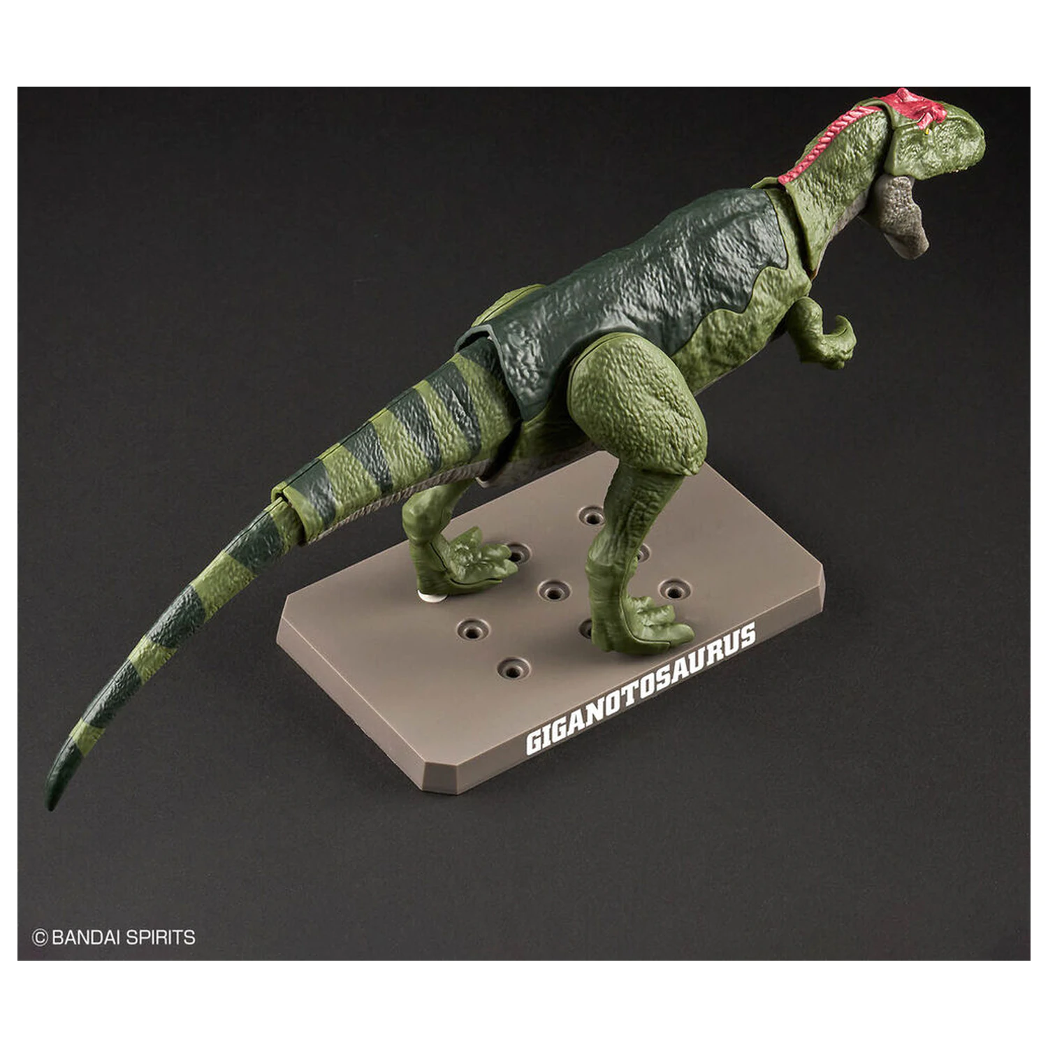 Model Kit Plannosaurus Giganotosaurus product photo