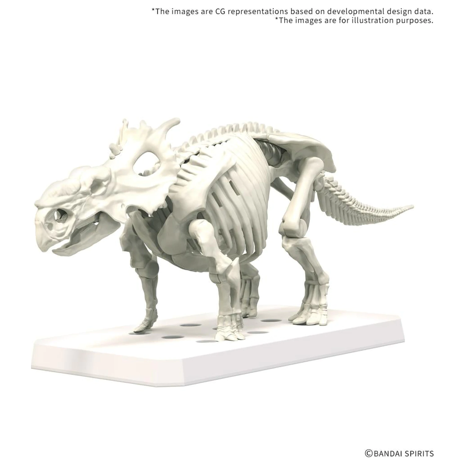 Plannosaurus Pachyrhinosaurus Model Kit product photo