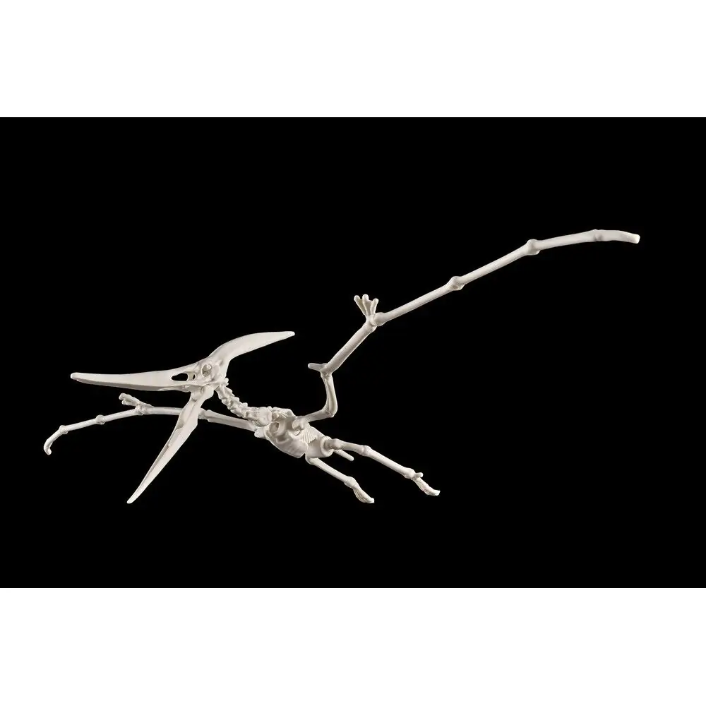 Plannosaurus Pteranodon Model Kit figure product photo