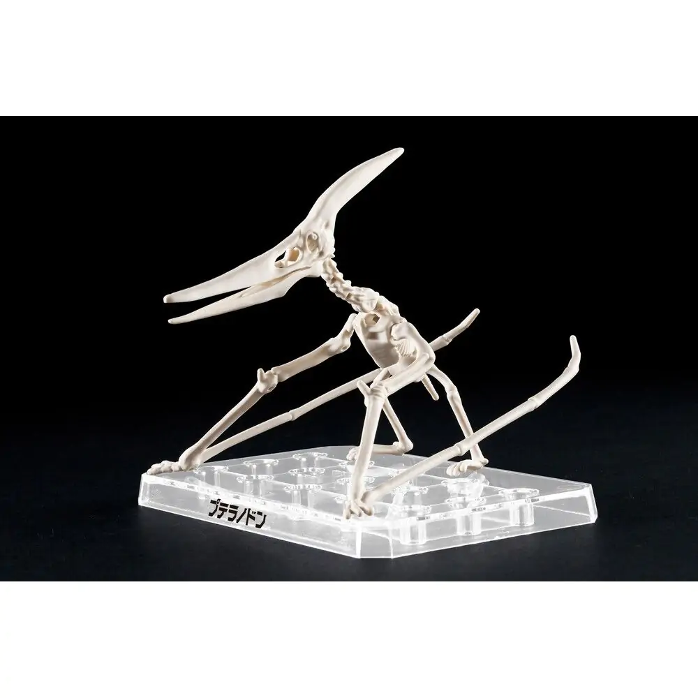 Plannosaurus Pteranodon Model Kit figure product photo