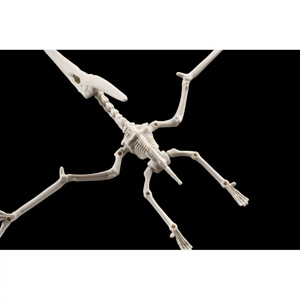 Plannosaurus Pteranodon Model Kit figure product photo
