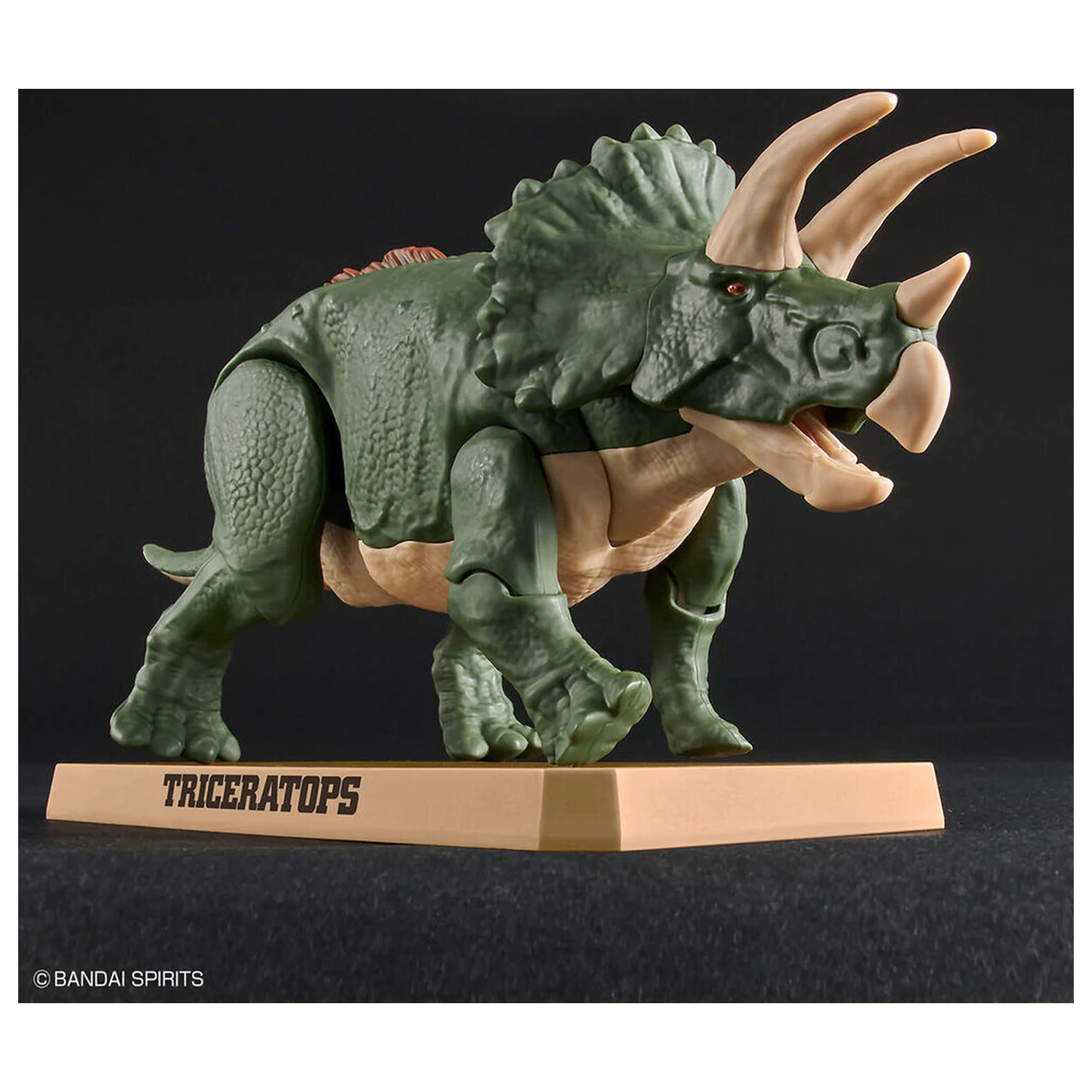 Model Kit Plannosaurus Triceratops product photo