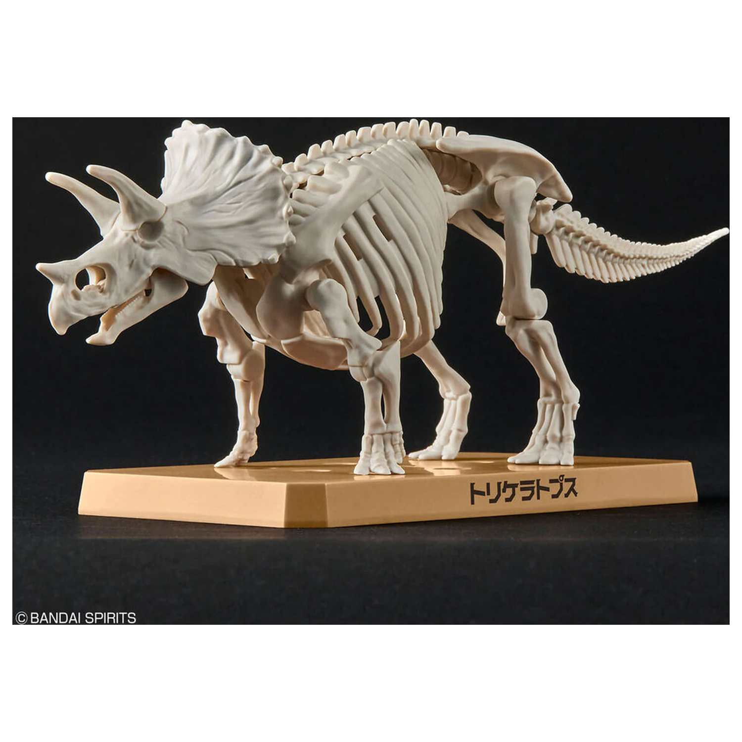 Model Kit Plannosaurus Triceratops product photo