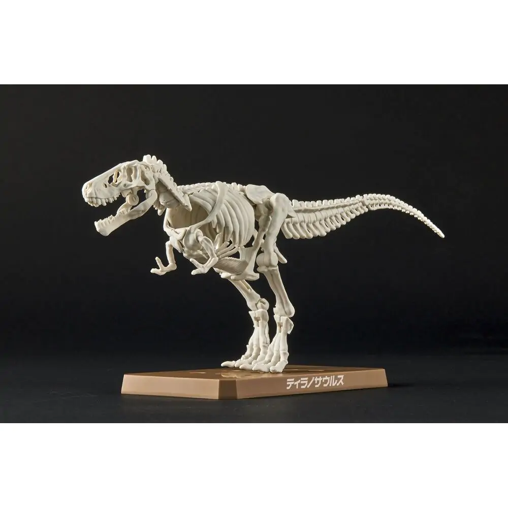 Plannosaurus Tyrannosaurus Model Kit figure product photo