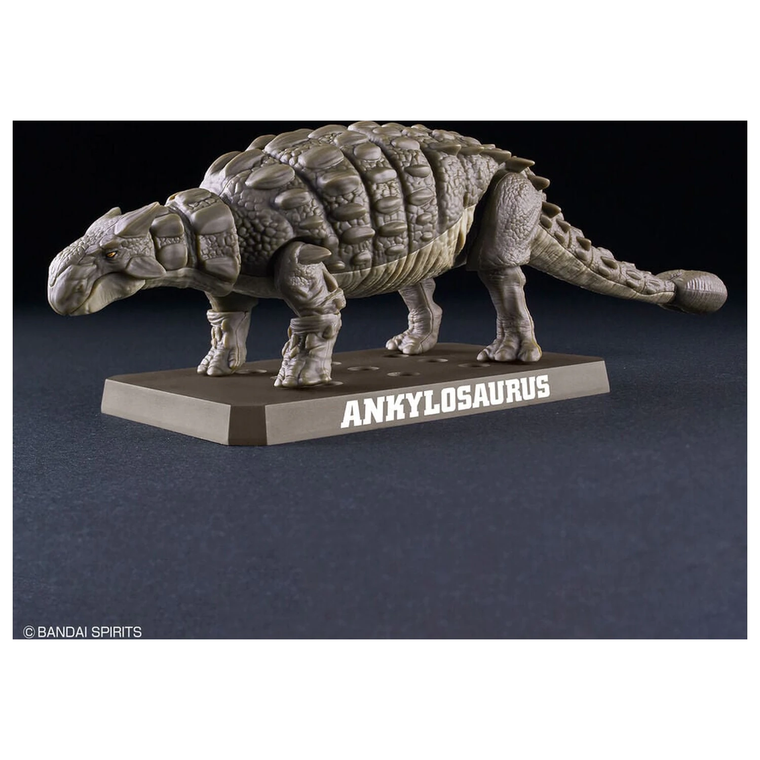 Planosaurus Ankylosaurus Model Kit product photo