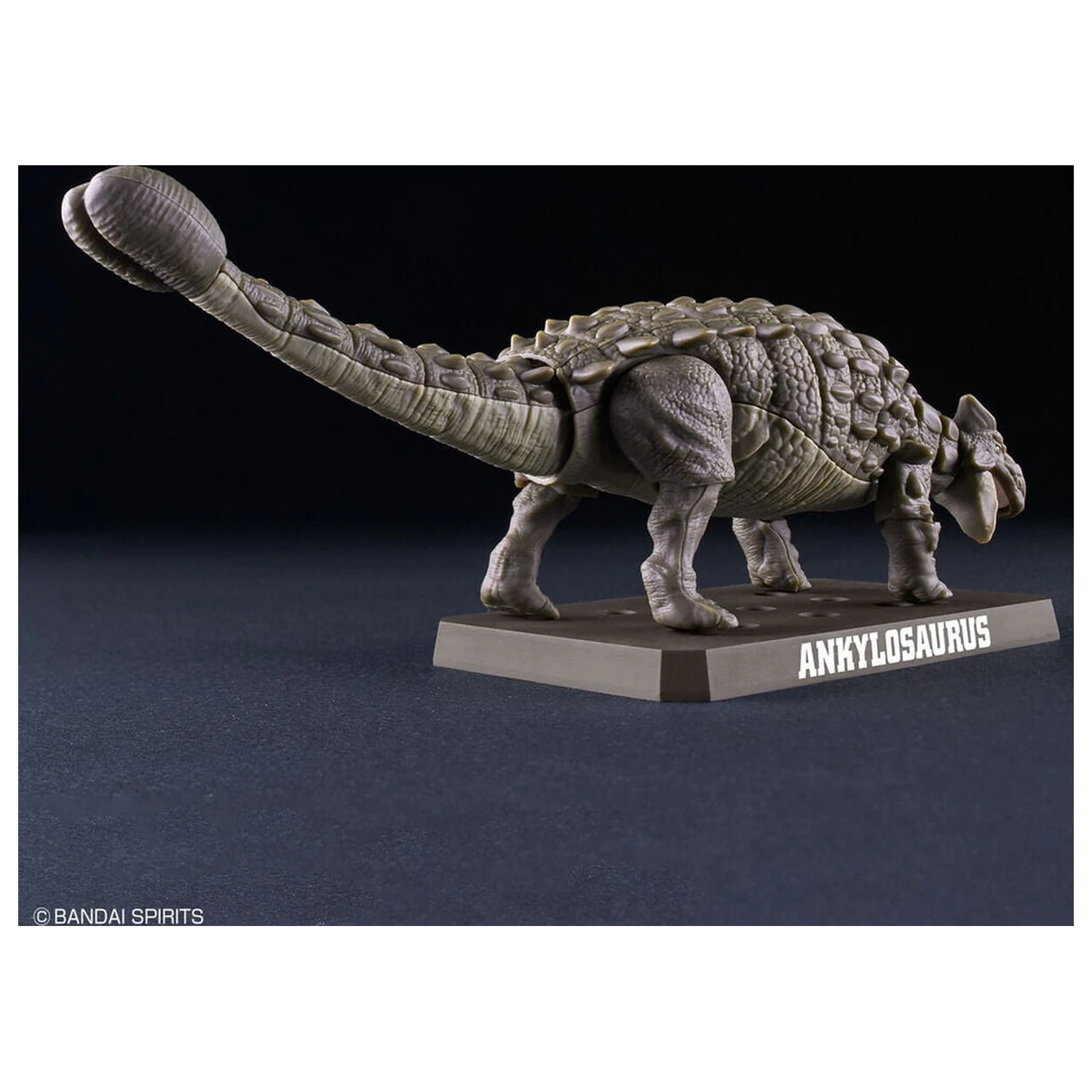 Planosaurus Ankylosaurus Model Kit product photo