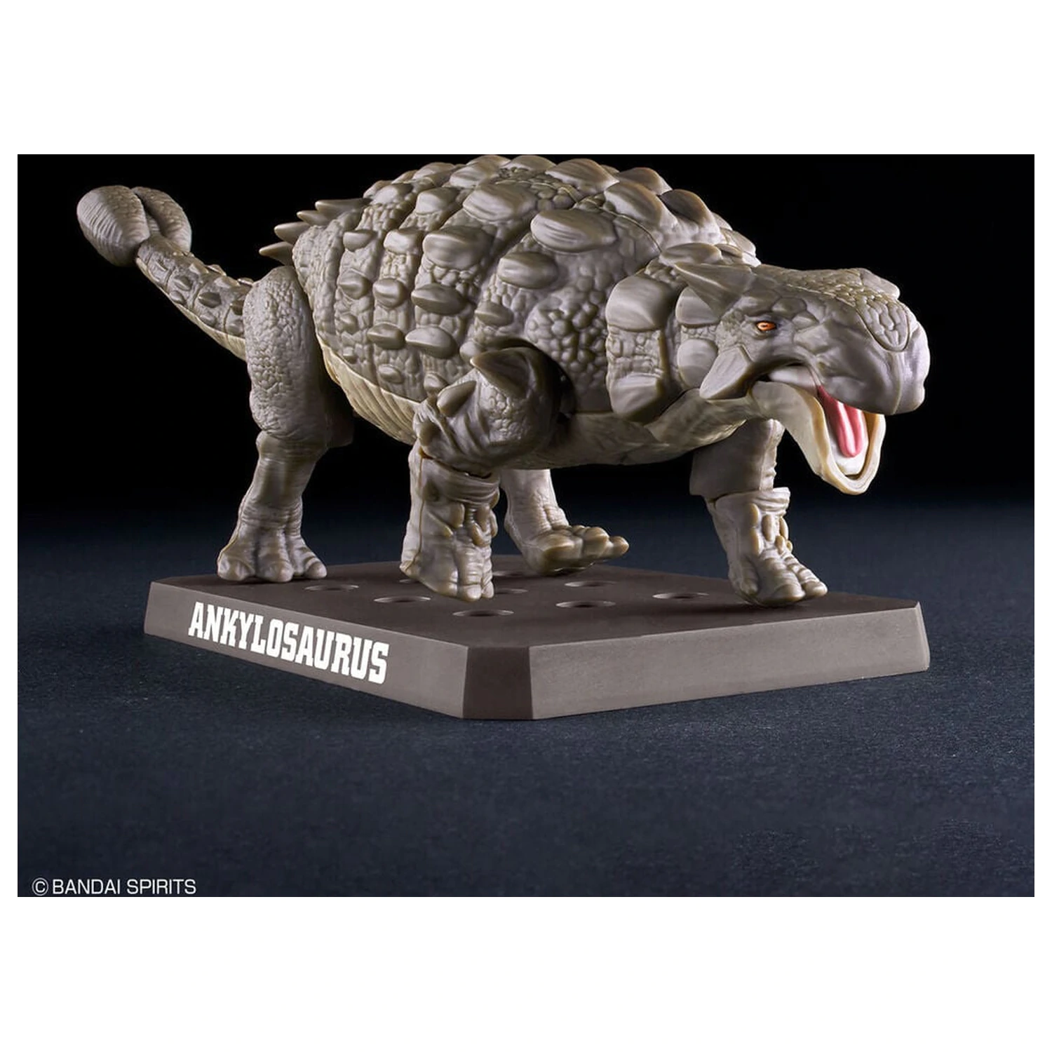 Planosaurus Ankylosaurus Model Kit product photo