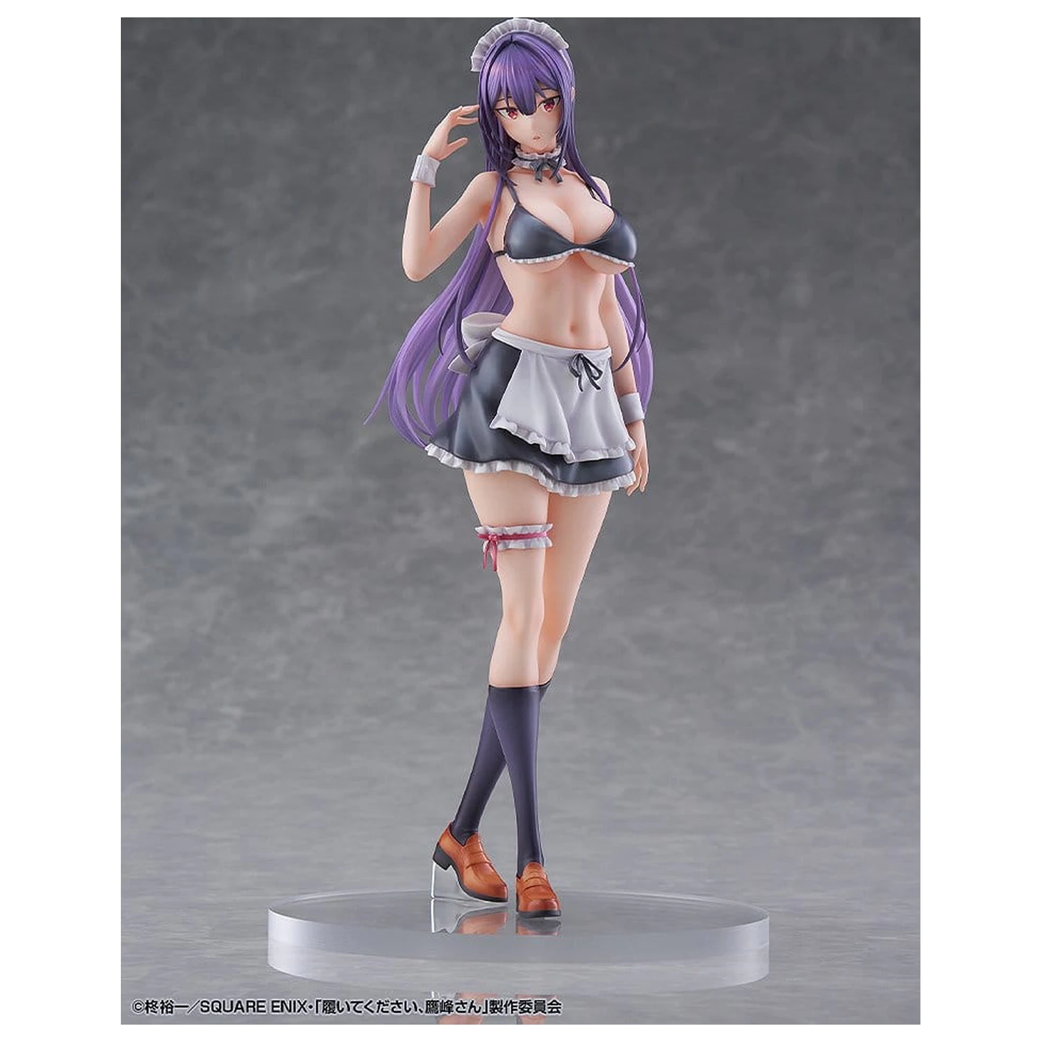 "Please Put Them On, Takamine-san" PVC Figure 1/6 Takane Takamine 25 cm product photo