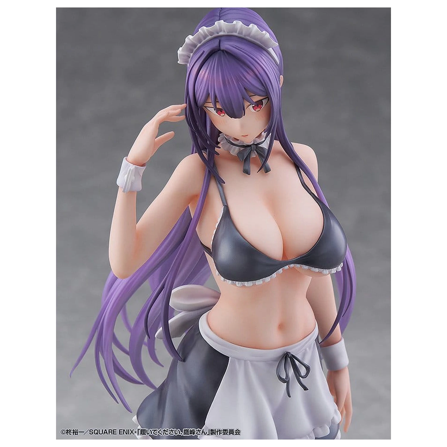 "Please Put Them On, Takamine-san" PVC Figure 1/6 Takane Takamine 25 cm product photo