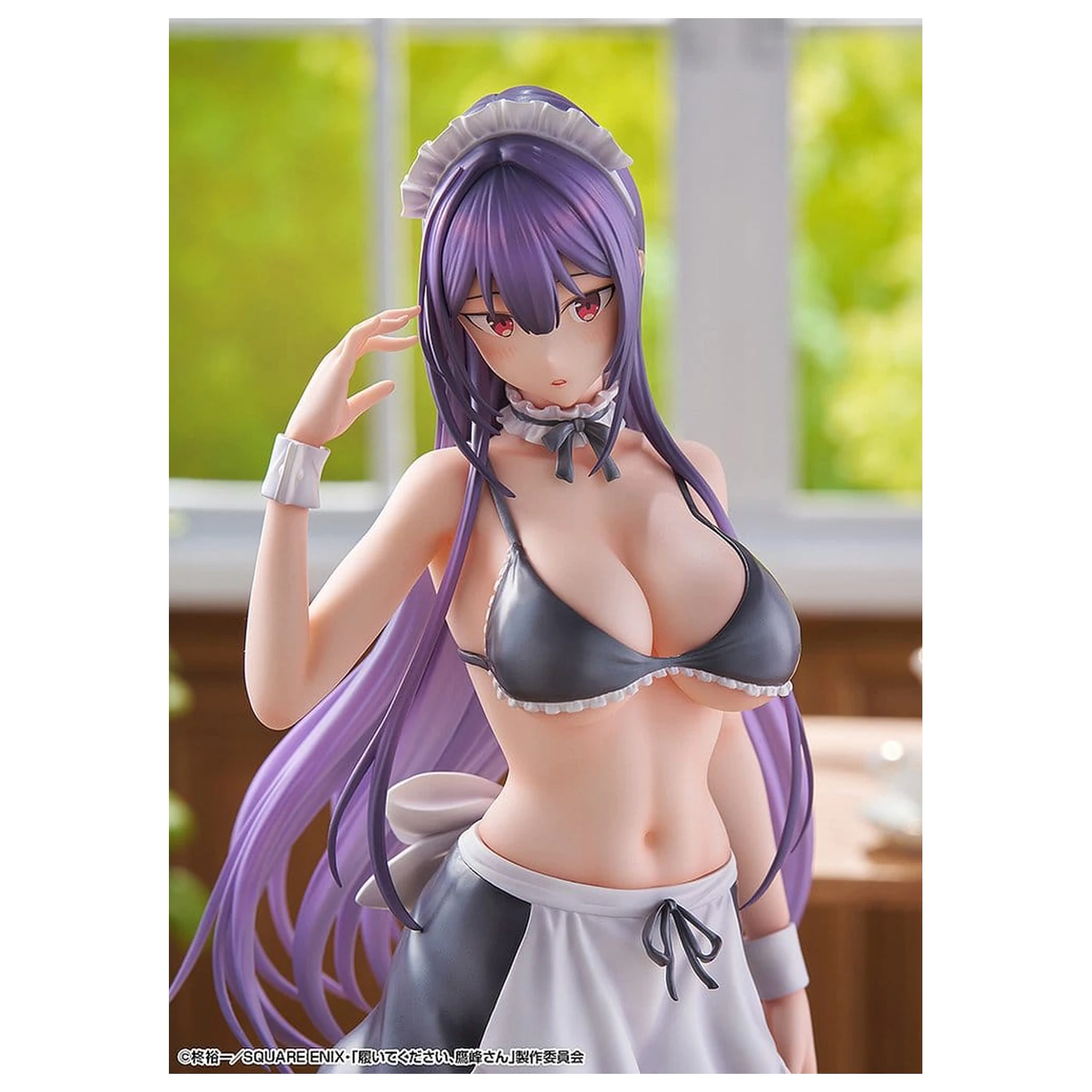 "Please Put Them On, Takamine-san" PVC Figure 1/6 Takane Takamine 25 cm product photo
