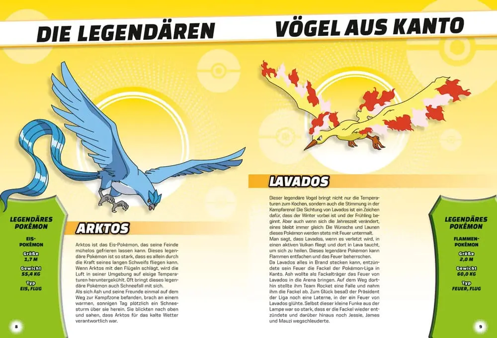 Pokémon Book Legendär und mysteriös *German Version* product photo