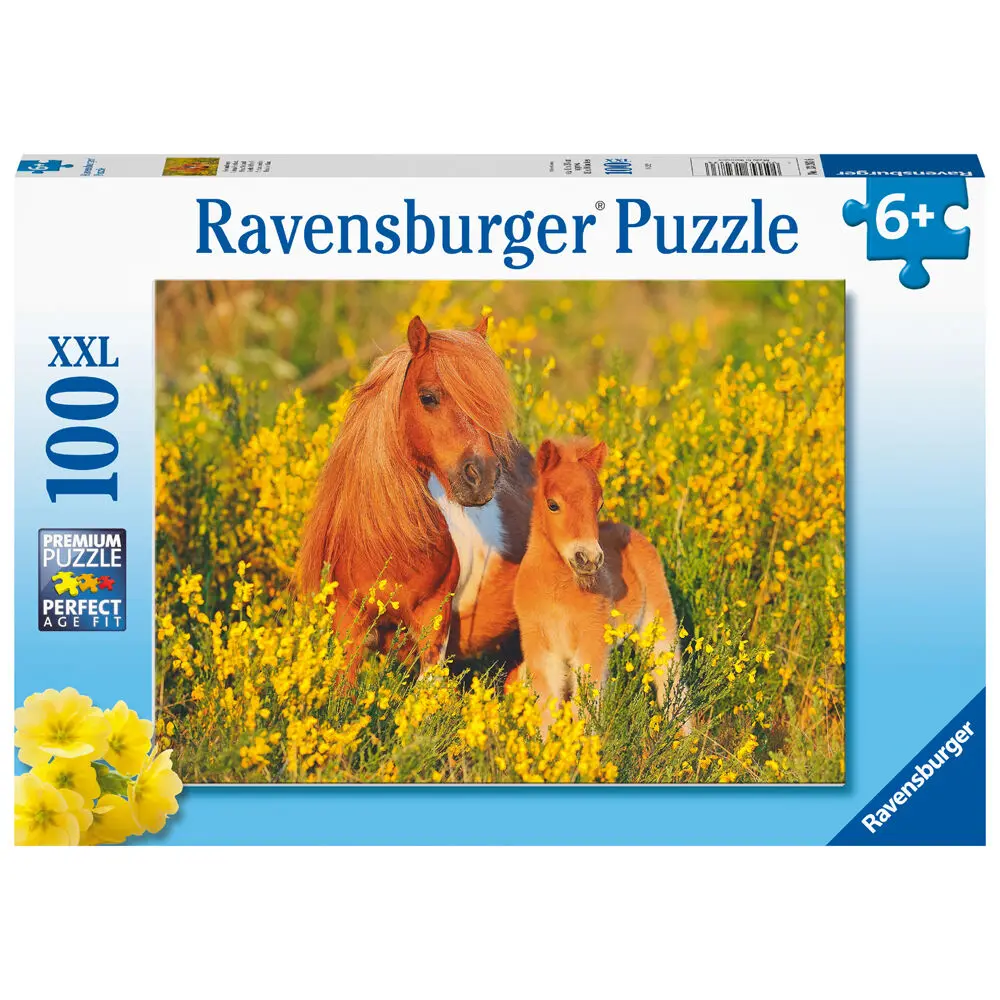 Pony Shetland XXL puzzle 100pcs product photo