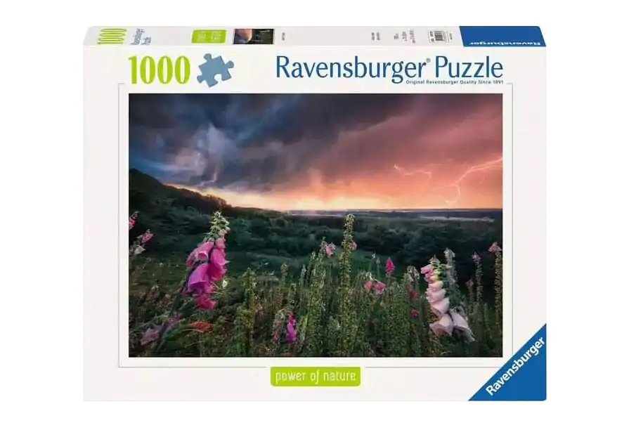 Power of Nature Jigsaw Puzzle A Storm is coming (1000 pieces) product photo