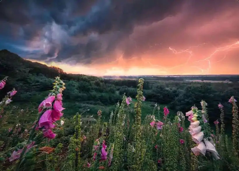 Power of Nature Jigsaw Puzzle A Storm is coming (1000 pieces) product photo