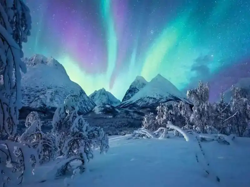 Power of Nature Jigsaw Puzzle When the northern lights dance (1500 pieces) product photo