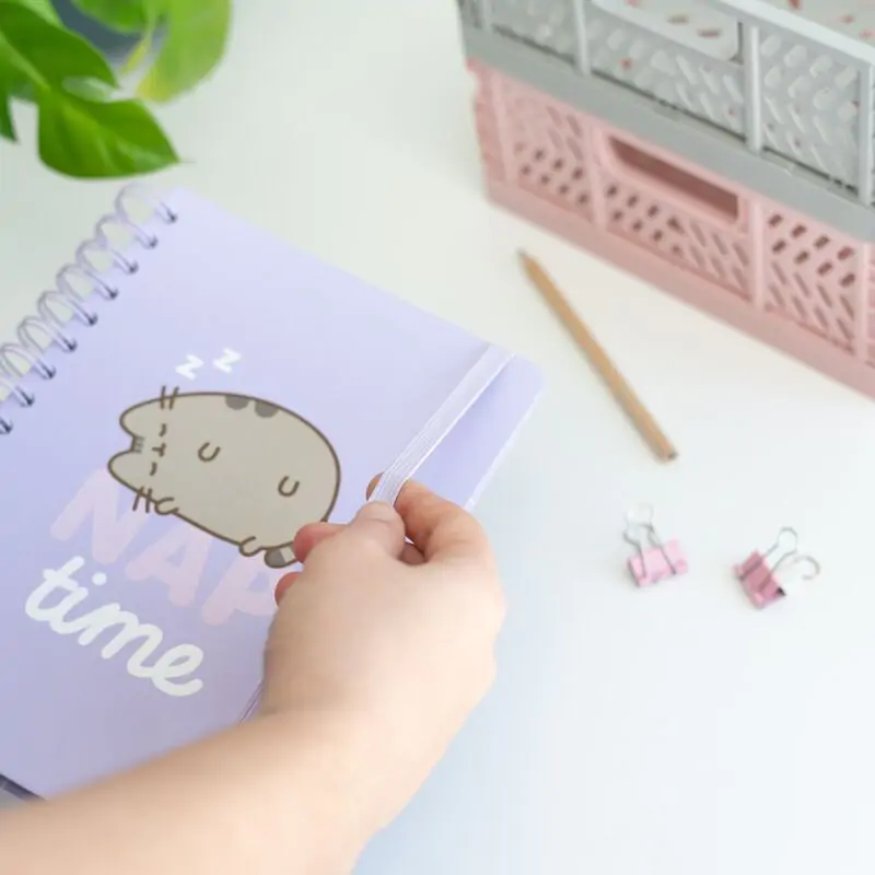 Pusheen Moments A5 notebook termékfotó