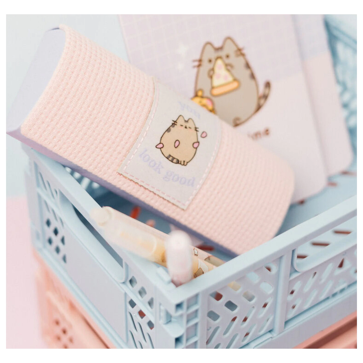 Pusheen glasses case product photo