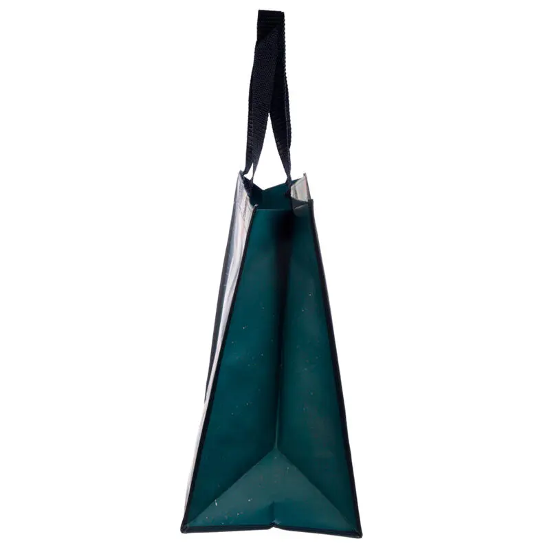 Rainbow Cat Kim Haskins shopping bag product photo