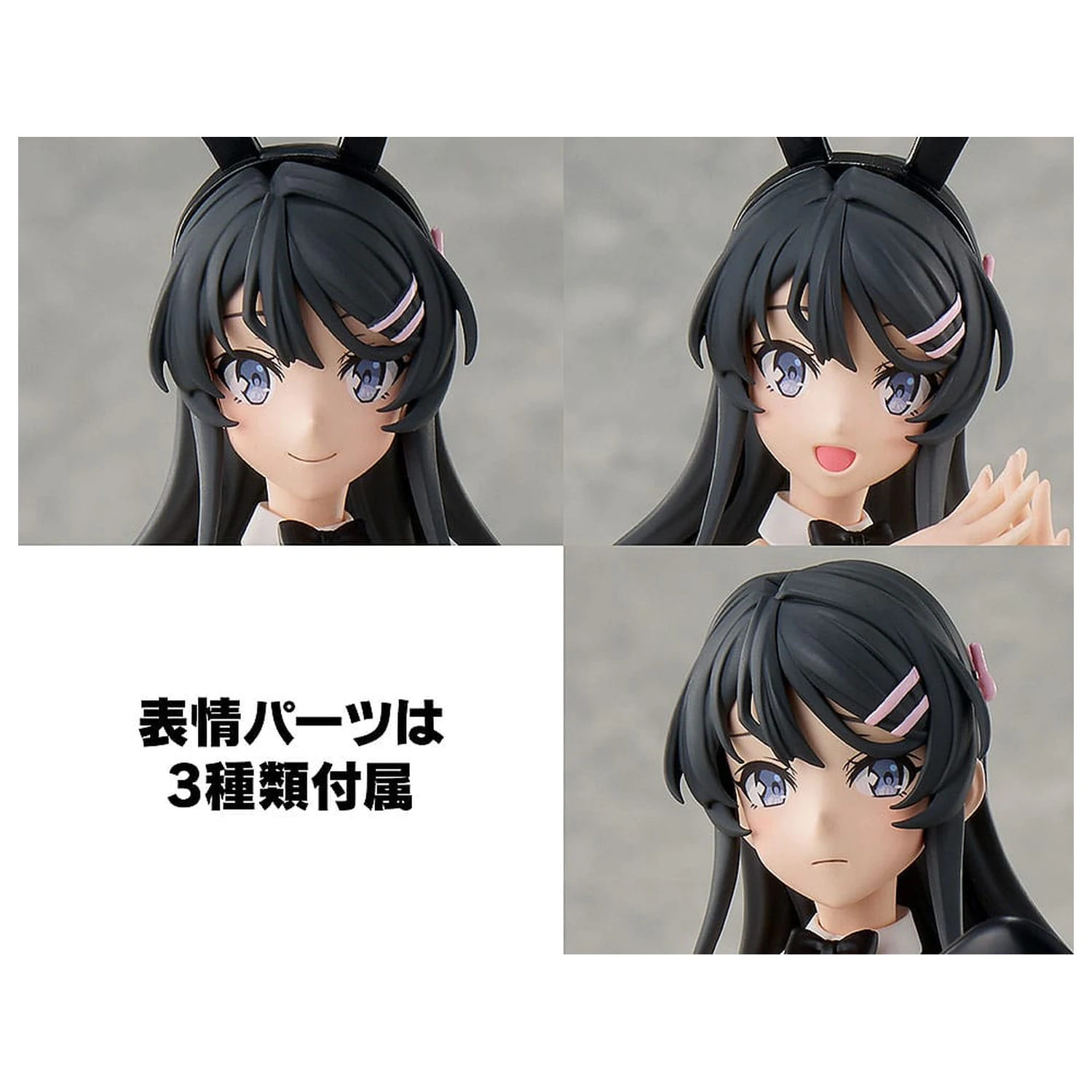 Rascal Does Not Dream Series Plastic Model Kit Mai Sakurajima 20 cm      product photo