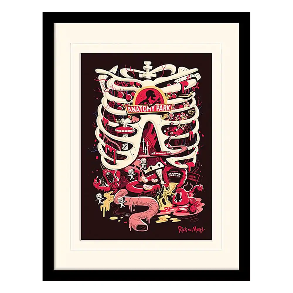 Rick and Morty Collector Print Framed Poster Anatomy Park (white background) product photo