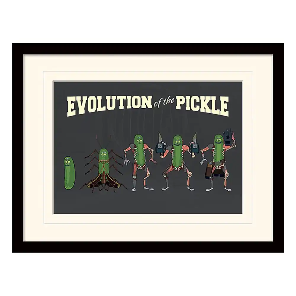 Rick and Morty Collector Print Framed Poster Evolution of the Pickle (white background) product photo