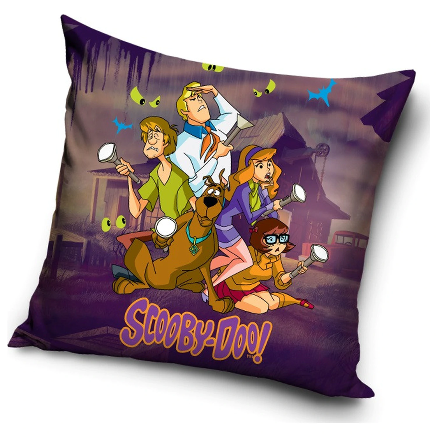 Scooby-Doo Investigation Pillowcase product photo