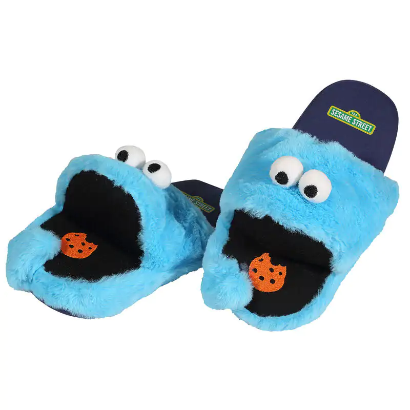 Sesame Street female Slippers S-M product photo