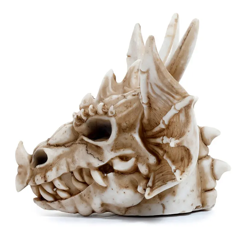 Shades of Darkness Dragon Skull money box product photo