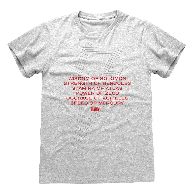 Shazam! Fury of the Gods Vows t-shirt product photo