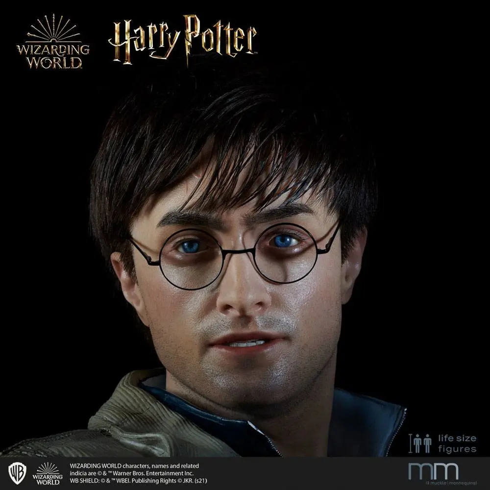 Silicone head for the Harry Potter Life-Size Statue MMHP-HPDH-1 product photo