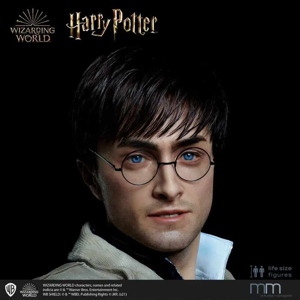 Silicone head for the Harry Potter Life-Size Statue MMHP-HPDH-1 product photo