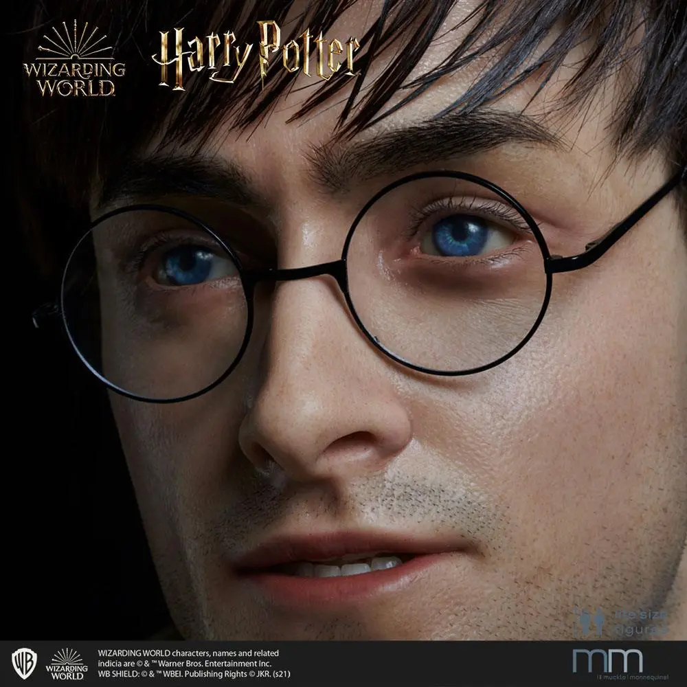 Silicone head for the Harry Potter Life-Size Statue MMHP-HPDH-1 product photo
