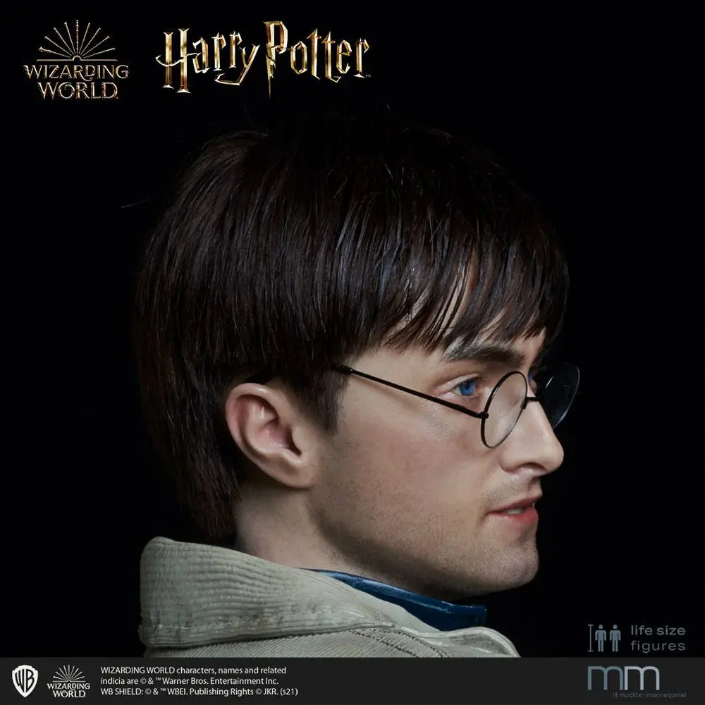 Silicone head for the Harry Potter Life-Size Statue MMHP-HPDH-1 product photo