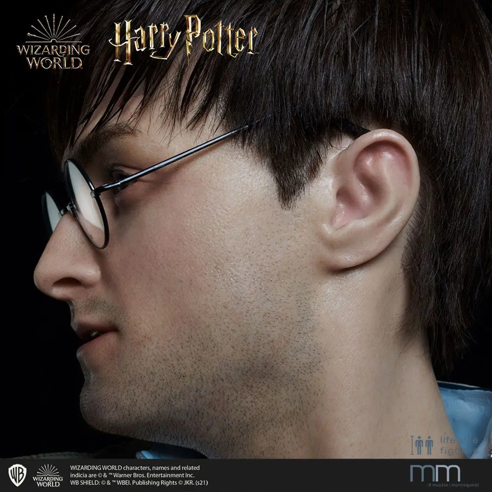 Silicone head for the Harry Potter Life-Size Statue MMHP-HPDH-1 product photo