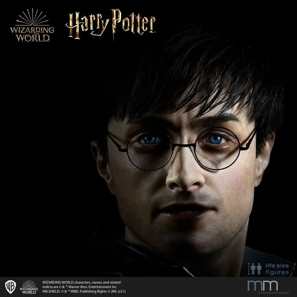 Silicone head for the Harry Potter Life-Size Statue MMHP-HPDH-1 product photo